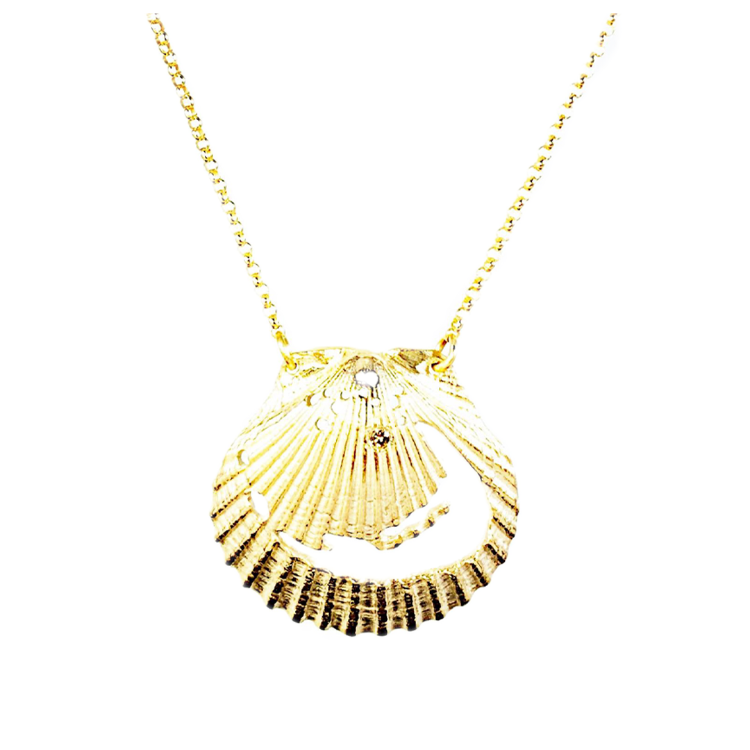 Nantucket Scallop 2024 Shell Necklace. - Free Shipping